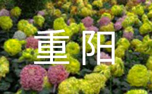 幼儿园中班重阳活动方案