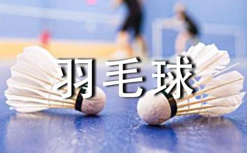 羽毛球比赛活动方案(15篇)
