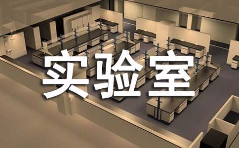 实验室自查报告(15篇)