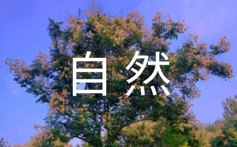 保护大自然建议书