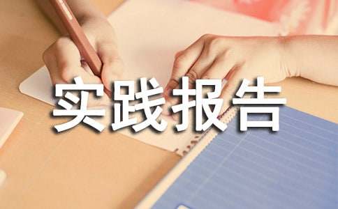 宣传大学实践报告