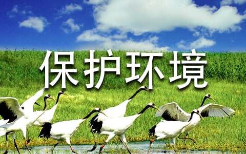 有关保护环境的建议书
