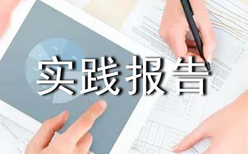 建材社会实践报告