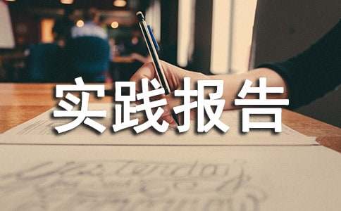 高中实践报告