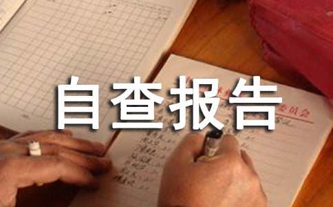 税务自查报告