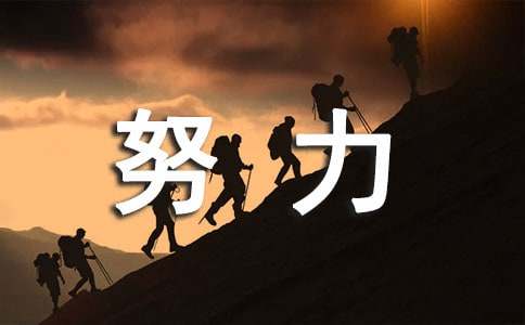 努力工作的保证书(15篇)