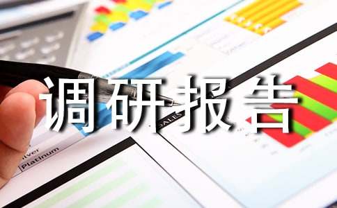 暑假社会实践调研报告